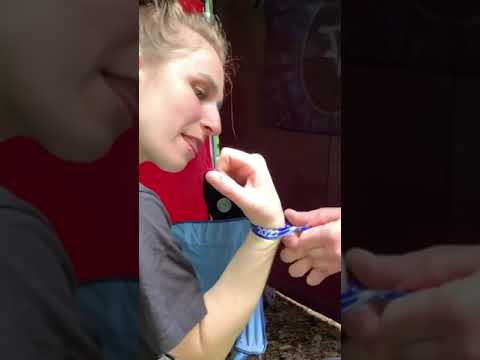 Q fair（Skellefteå, SE）｜最新フェス情報とチケット・アクセスまとめ