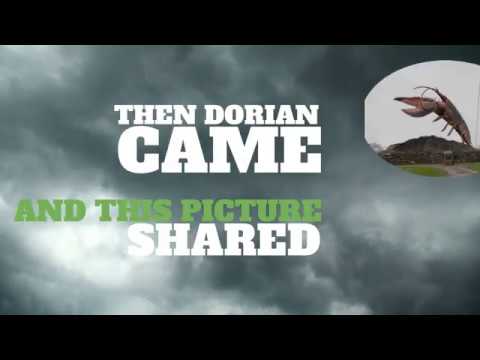 asiris: The Summerside Tour（Los Angeles, US）｜最新フェス情報とチケット・アクセスまとめ