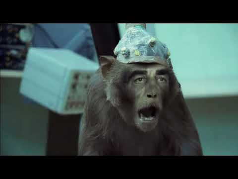 Basement Jaxx – The Full Live Show For The First Time In Over 15 Years（Brisbane, AU）｜最新フェス情報とチケット・アクセスまとめ