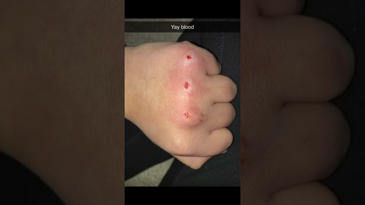 Chicken Happen w/ Choose Your Character, Bob Rok（Chicago, US）｜最新フェス情報とチケット・アクセスまとめ